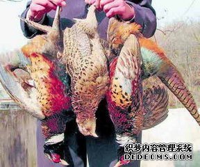 国家食药监总局发布春节食品安全提示:尽量别